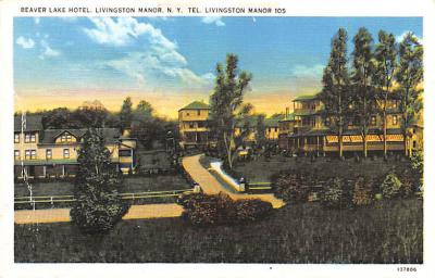 Livingston Manor NY