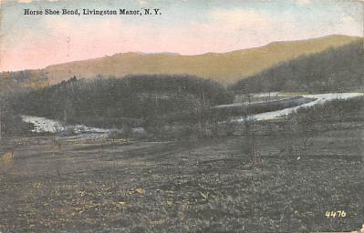 Livingston Manor NY