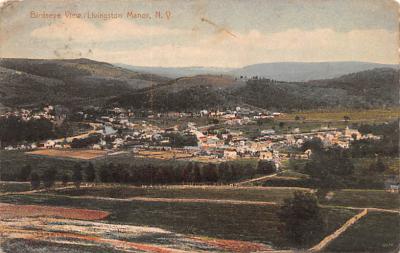 Livingston Manor NY