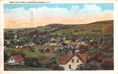 Livingston Manor NY