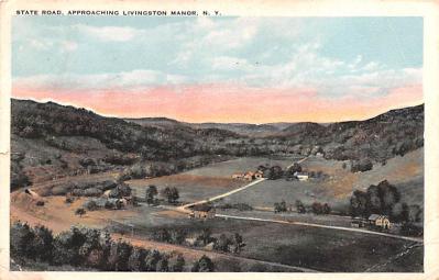 Livingston Manor NY