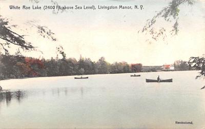 Livingston Manor NY