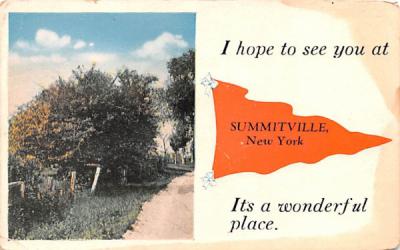 Hope to see you Summitville, New York Postcard