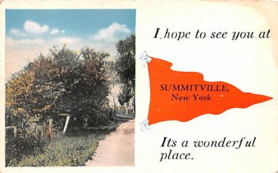 Hope to see you Summitville, New York Postcard