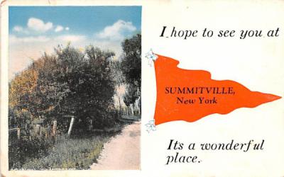 Greetings From Summitville, New York Postcard