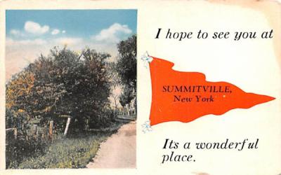 Greetings From Summitville, New York Postcard