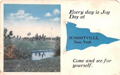 Greetings From Summitville, New York Postcard