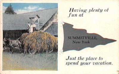 Greetings From Summitville, New York Postcard