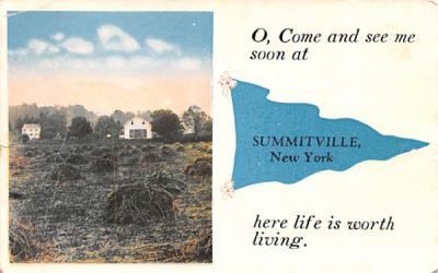 Greetings From Summitville, New York Postcard