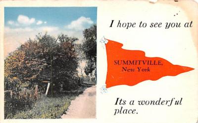 Greetings From Summitville, New York Postcard