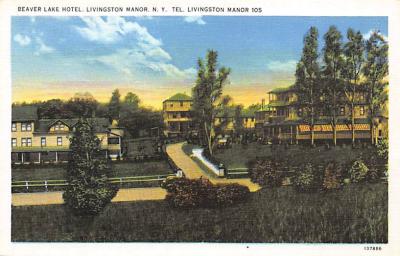 Livingston Manor NY