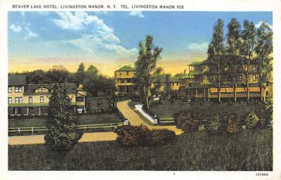 Livingston Manor NY