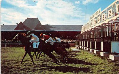 Turf Course Saratoga, New York Postcard