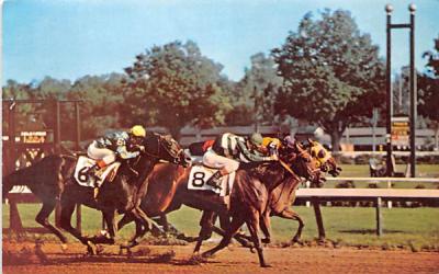 Saratoga Race Track New York Postcard