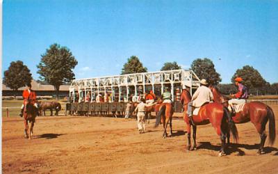 Saratoga Race Track Saratoga Springs, New York Postcard