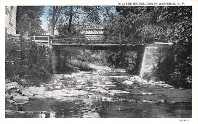 Village Bridge South Westerlo, New York Postcard