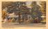 Library & Art Gallery Skaneateles, New York Postcard