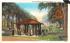 Old Red Spring Saratoga Springs, New York Postcard