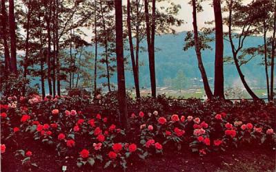 Sterling Forest Gardens Tuxedo, New York Postcard