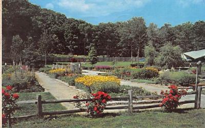 Sterling Forest Gardens Tuxedo, New York Postcard