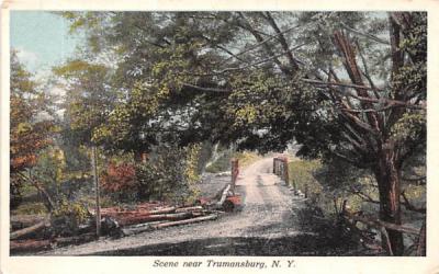 Dirt Road Trumansburg, New York Postcard