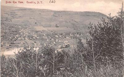 Bird's Eye View Unadilla, New York Postcard