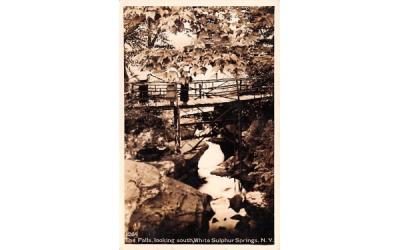 The Falls White Sulphur Springs, New York Postcard