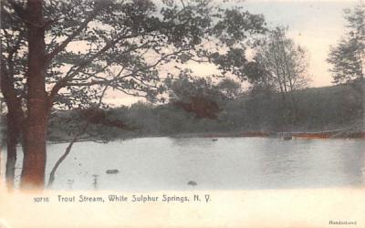 Trout Stream White Sulphur Springs, New York Postcard