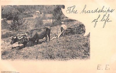 Plowing White Lake, New York Postcard