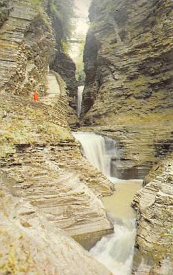 Watkins Glen NY