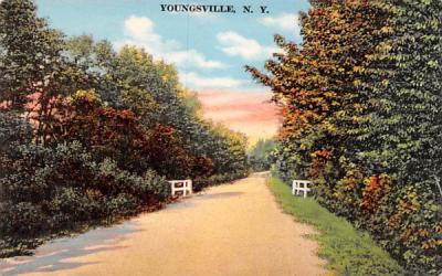 Dirt Road Youngsville, New York Postcard