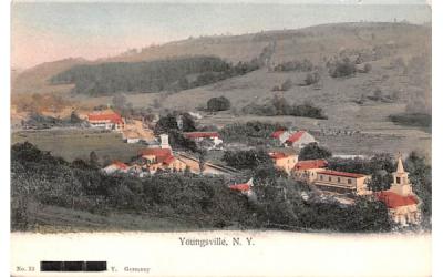 Bird's Eye View Youngsville, New York Postcard