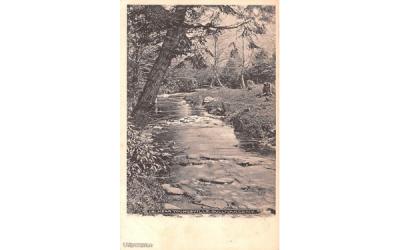 Brook Scene Youngsville, New York Postcard