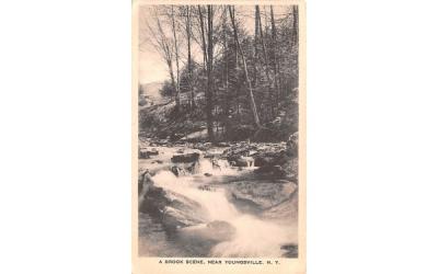 Brook Scene Youngsville, New York Postcard