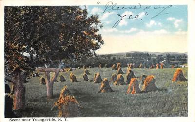 Hay Scene Youngsville, New York Postcard