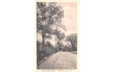 Stump Lake Road Youngsville, New York Postcard