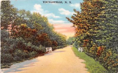 Road Youngsville, New York Postcard