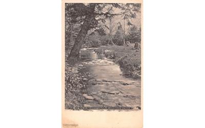 Stream View Youngsville, New York Postcard