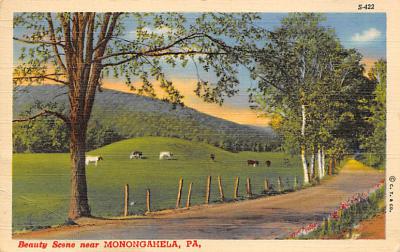 Monongahela PA