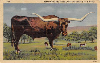 Texas Longhorn TX