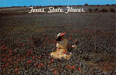 State Flower Of Texas TX