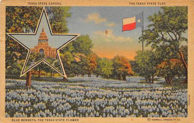 State Flower Of Texas TX